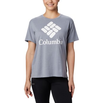 Columbia Ženske Majice - Park Relaxed Sive | VMPR-87012